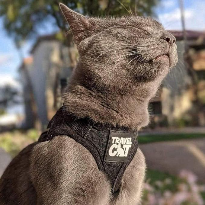 Travel Cat Harness and Leash Set - Adjustable Fit Mesh Cat Harness and Reflective Strap - Comfort Walking Vest for Kitten for Outdoor Walking, Hiking (Extra Small, Black)