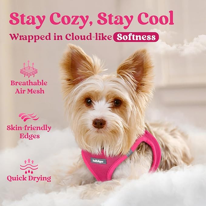 rabbitgoo Small Dog Harness, Step-in Soft Mesh Puppy Vest with Safety Buckle, Breathable Reflective Pet Harness for Large Dogs, Rose Red XXL