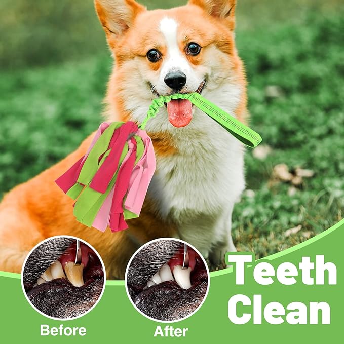 wodoca Interactive Dog Toys, Dog Rope Toys for Aggressive Chewers -Tough Rope Tug of War Dog Toys, Dog Tug Toy for Boredom for Small Medium Puppy Interacting Games (Green)