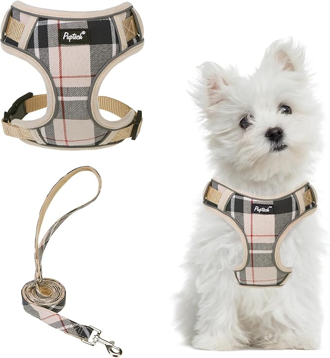 PUPTECK Small Dog Harness and Leash Set, No Pull Adjustable Puppy Cat Harness, Reflective Soft Mesh Pet Vest Small Sized