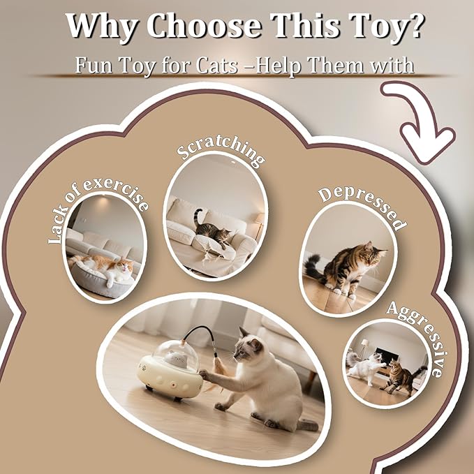 Laser Cat Toy, 3 in 1 Interactive Toy for Cats, Rechargeable Wand and Chasing Interactive Pet Toy for Bored Indoor Cats Kittens 3 Extra Replaceable Teaser Wand Heads