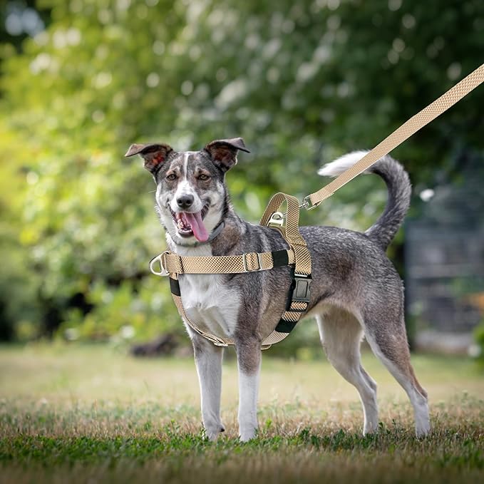 Annchwool Adjustable Dog Harness-Lightweight No Pull Dog Harness with Handle for Small & Medium and Large Dogs-Front Clip Easy for Walking Vest Harness(Brown,XL)