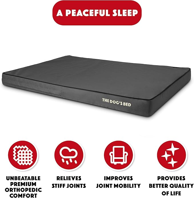 The Dog’s Bed Orthopedic Memory Foam Dog Bed, XXL Grey & Black 54x36, Waterproof, Supportive Dog Bed with Replaceable Covers, Veterinary Approved