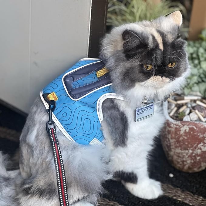 TRAVEL CAT The Pathfinder Cat Harness with GPS Tracker Pocket - Powered by Tractive Cat Harness Escape Proof - Walking Escape Proof Cat Harness for Small, Large, Kitten (Blue, Medium)