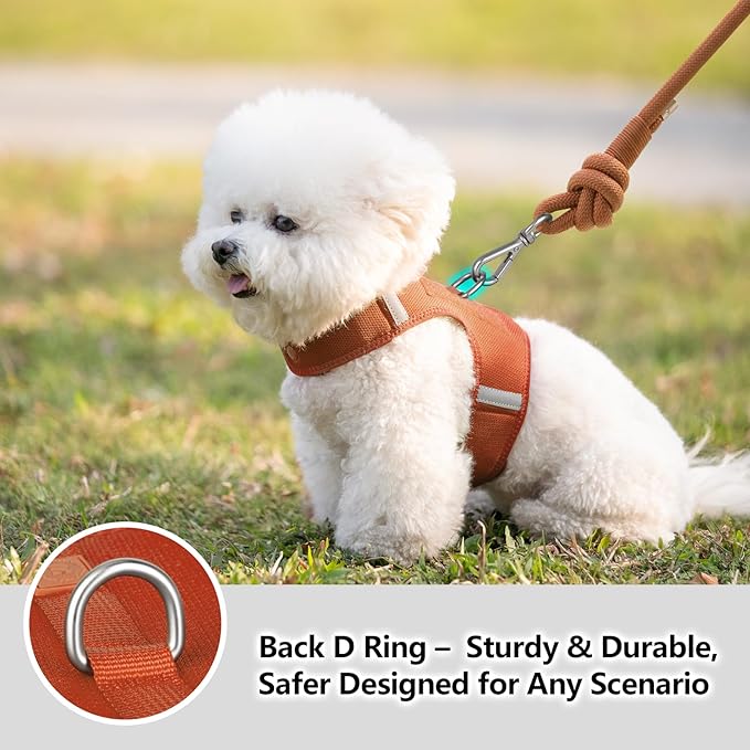 Dog Harness for Puppy – Adjustable Reflective Easy Put On Soft Mesh Vest for Small Dogs with 2 Patches (Carmel Brown,S)