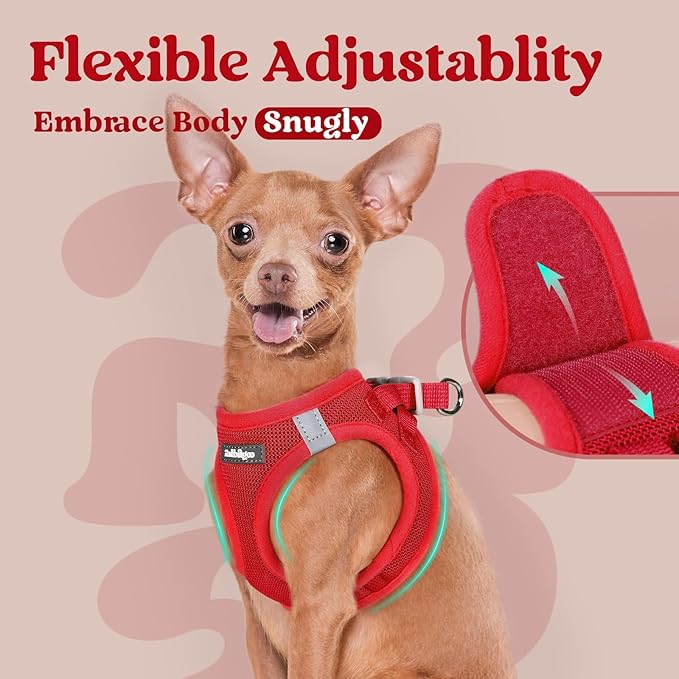 rabbitgoo Small Dog Harness, Step-in Soft Mesh Puppy Vest with Safety Buckle, Breathable Reflective Pet Harness for Small Medium Dogs, Red XL