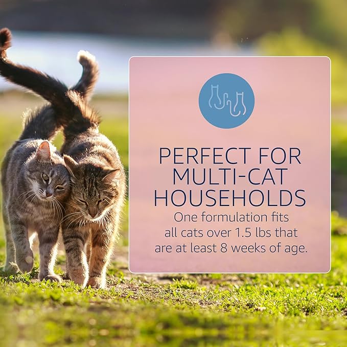 Catego for Cats Flea and Tick Treatment & Prevention (Over 1.5 lbs) 12-Month Supply