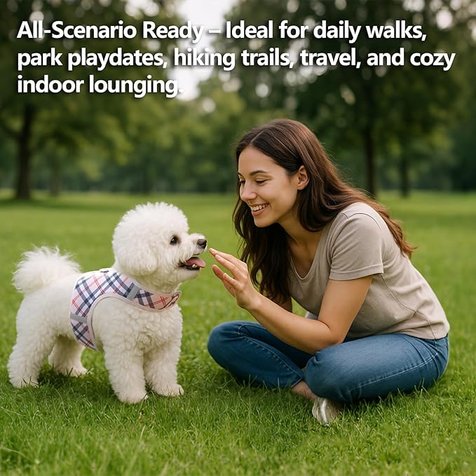 Dog Harness for Small Sized Dog,Hook-and-Loop Easy On/Off, Reflective Adjustable Soft Mesh Vest for Puppy (Checkered Beige,S)