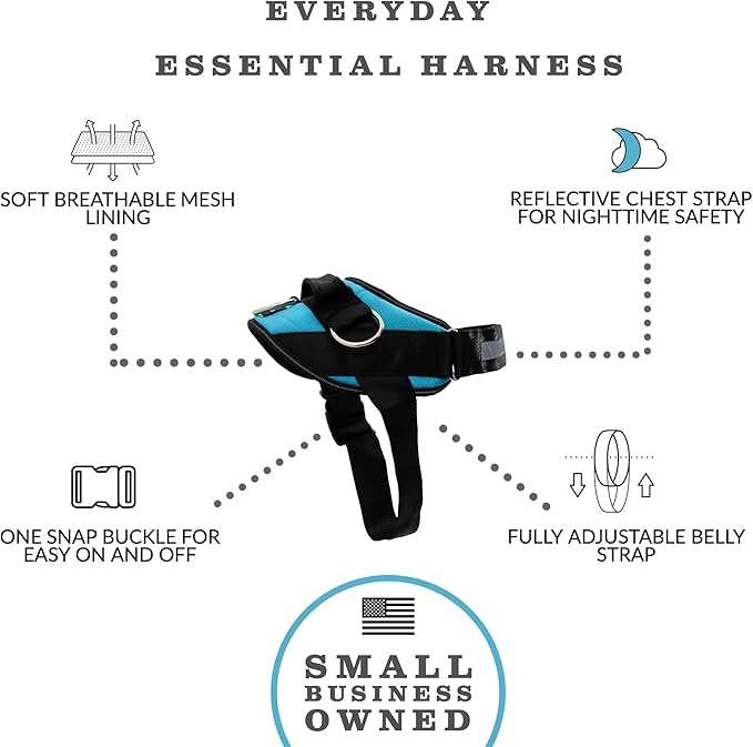 ShawnCo Essential Dog Harness, No-Pull Pet Vest with 3 Leash Clips, No Choke, Reflective, Adjustable and Padded, for Easy Walking and Training for Small, Medium and Large Dogs (Oceanic Blue, XS)