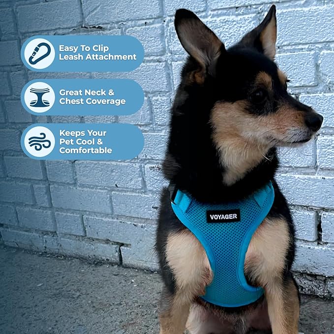 Voyager Step-in Pet Harness - All Weather Mesh, Adjustable Step in Harness for Cats and Dogs by Best Pet Supplies - Turquoise, L