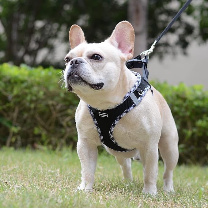 Mercano Soft Mesh Dog Harness and Leash Set, No-Chock Step-in Reflective Breathable Lightweight Easy Walk Vest Harnesses with Safety Buckle for Small Dogs, Cats (Black White, S)