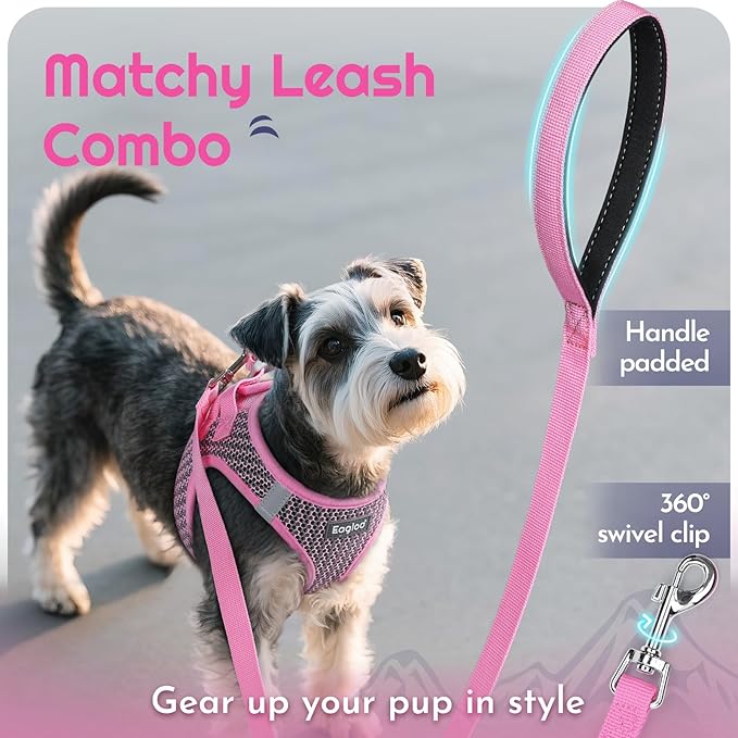 Eagloo Small Dog Harness and Leash Set, Step in Puppy Vest with Breathable Soft Mesh, Walking Reflective Pet Harness for Extra Small Dogs, Pink, XXS