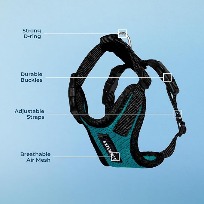 Voyager Step-in Pet Harness - All Weather Mesh, Adjustable Step in Harness for Cats and Dogs by Best Pet Supplies - Turquoise/Black Trim, XS