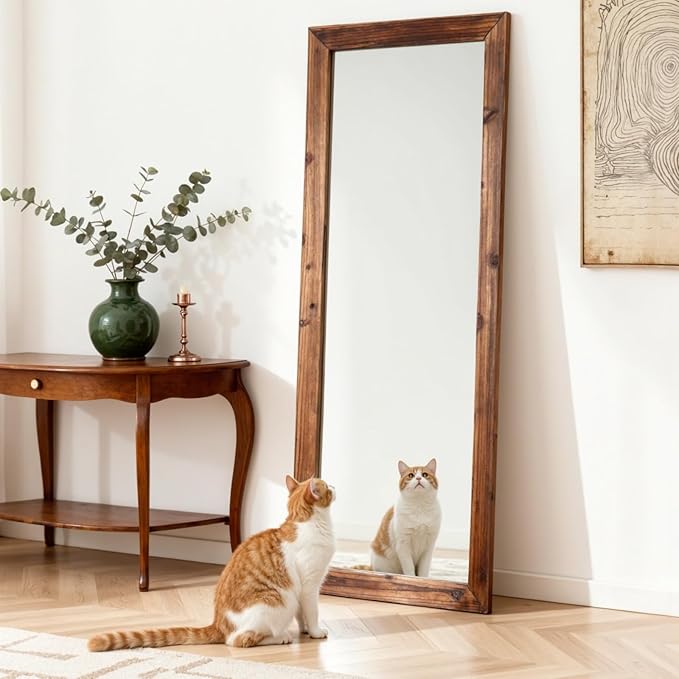 Yumyolk Full Length Mirror 56"x22" with Stand Wood Frame Leaning Hanging for Living Room Bedroom Cloakroom Brown