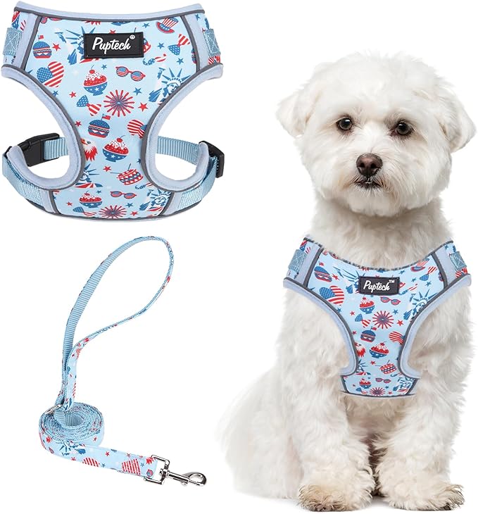 PUPTECK Small Dog Harness and Leash Set, No Pull Adjustable Puppy Cat Harness, Reflective Soft Mesh Pet Vest Small Sized