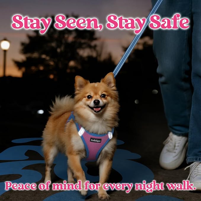 rabbitgoo Dog Harness Small Sized and Leash Set, Step-in Breathable Pet Harness, Soft Walking Reflective Puppy Vest for Small Dogs, Pink & Light Blue, S