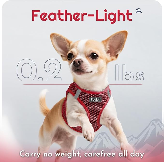 Eagloo Small Dog Harness and Leash Set, Step in Puppy Vest with Breathable Soft Mesh, Walking Reflective Pet Harness for Medium Small Dogs, Red, M