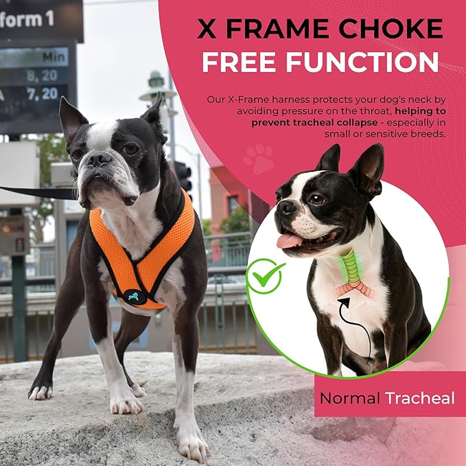 Gooby Orange X-Large Comfort X Head in Harness - No Pull, Choke-Free, Lightweight Mesh, Machine Washable for Small to Medium Dogs