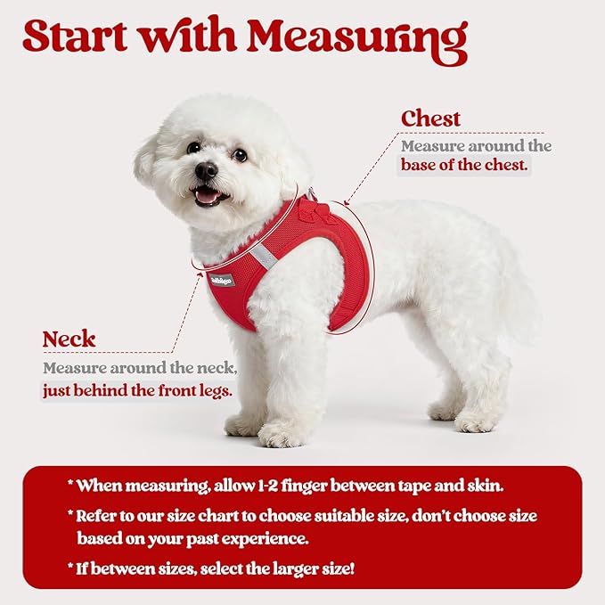 rabbitgoo Dog Harness Small Medium Sized and Leash Set, Step in Soft Light Puppy Vest, Breathable Mesh Pet Harness, Reflective for Safe Easy Walking, Red L