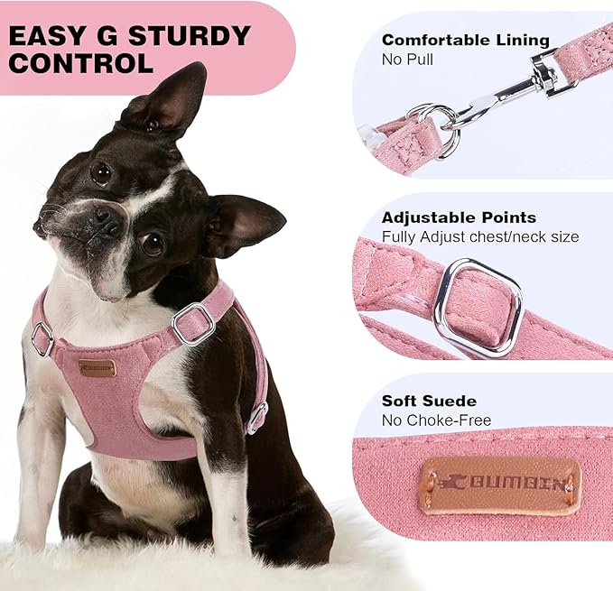 Dog Harness and Leash Set, XXS No Pull Adjustable Puppy Harness with Multifunction Pink Dog Leash and Dog Collar, Soft No Choke Escape Proof Pet Harness Vest for Small Dogs and Cats (Red, XS)