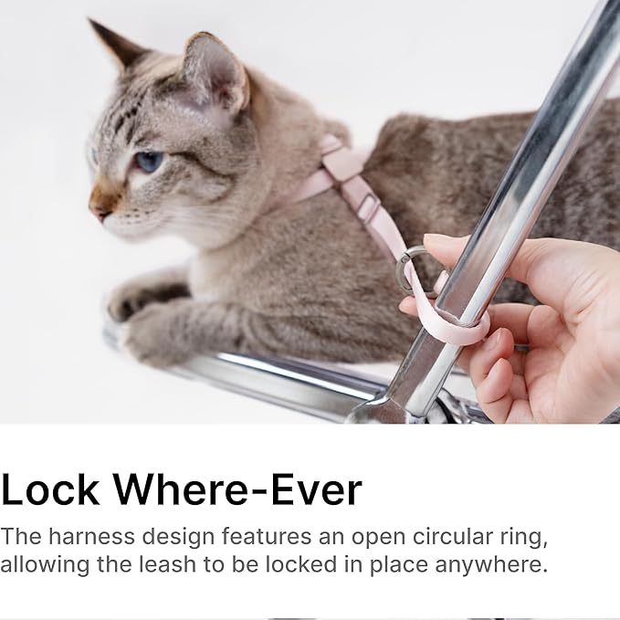 Cat Harness Escape-Proof Anti-Choking Adjustable Nylon Harness Lightweight with Anodized Aluminum Buckle, Ideal for Cats Outdoor Walking and Training, IDA Award (Linen, L (21.7"))