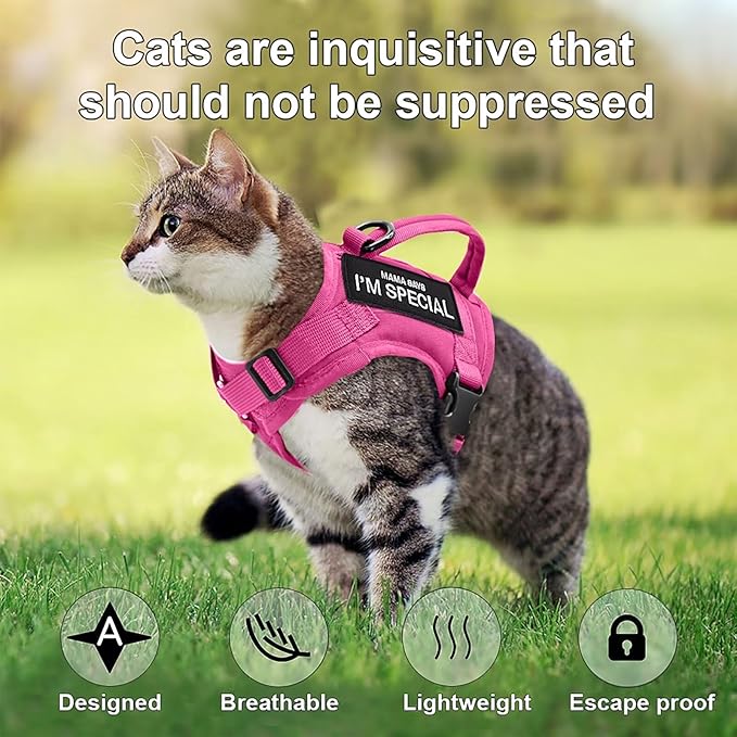Forestpaw Cat Harness Escape Proof for Walking,Adjustable Cat Vest Harness with Soft Mesh Padded,Tactical Cat Harness with Control Handle,Molle Patches,Hot Pink