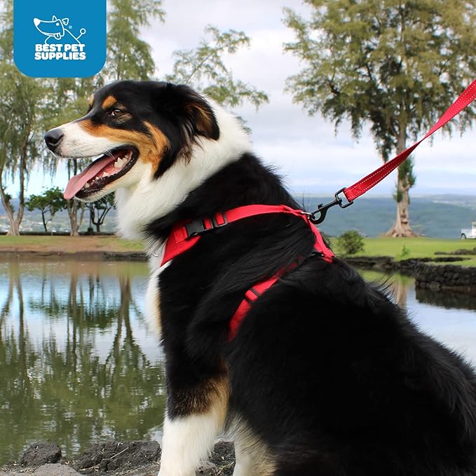 Voyager Step-in Pet Harness - All Weather Mesh, Adjustable Step in Harness for Cats and Dogs by Best Pet Supplies - Turquoise, L
