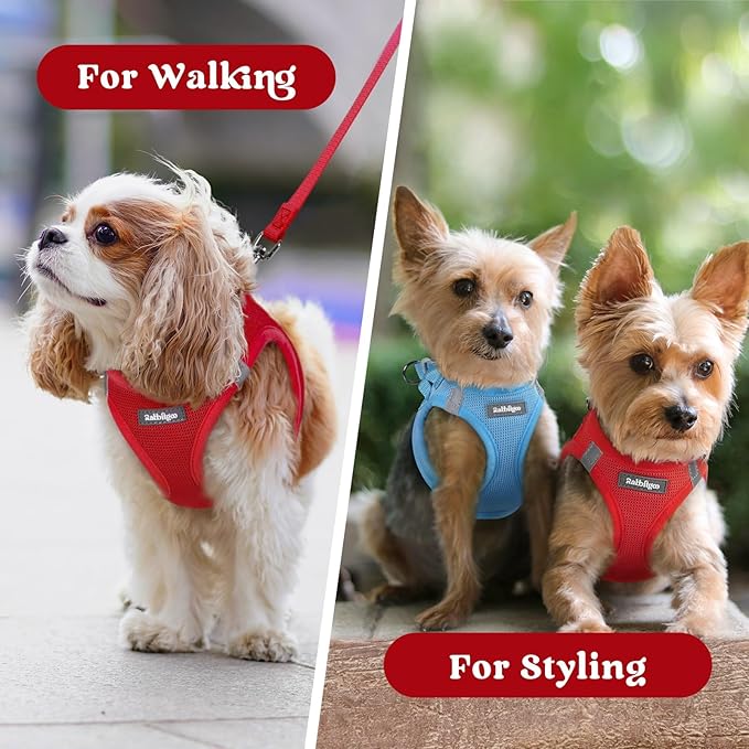 rabbitgoo Small Dog Harness, Step-in Soft Mesh Puppy Vest with Safety Buckle, Breathable Reflective Pet Harness for Small Sized Dogs, Red XS