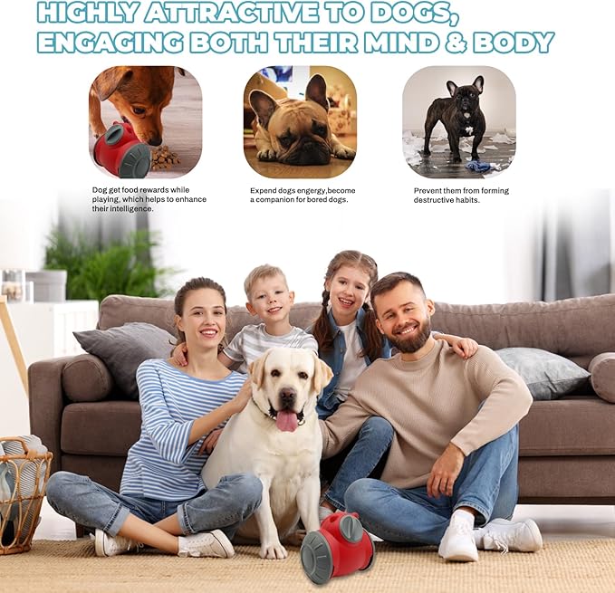 Dog Treat Toy - Interactive Dog Toys for Boredom, Treat Dispensing Enrichment Mental Stimulation (D)