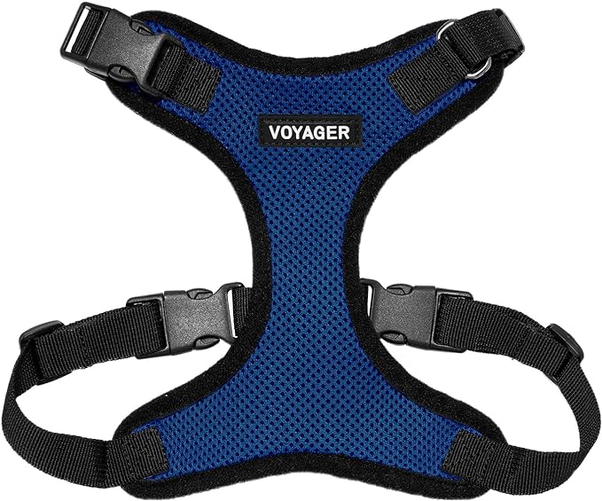 Voyager Step-in Pet Harness - All Weather Mesh, Adjustable Step in Harness for Cats and Dogs by Best Pet Supplies - Royal Blue/Black Trim, L