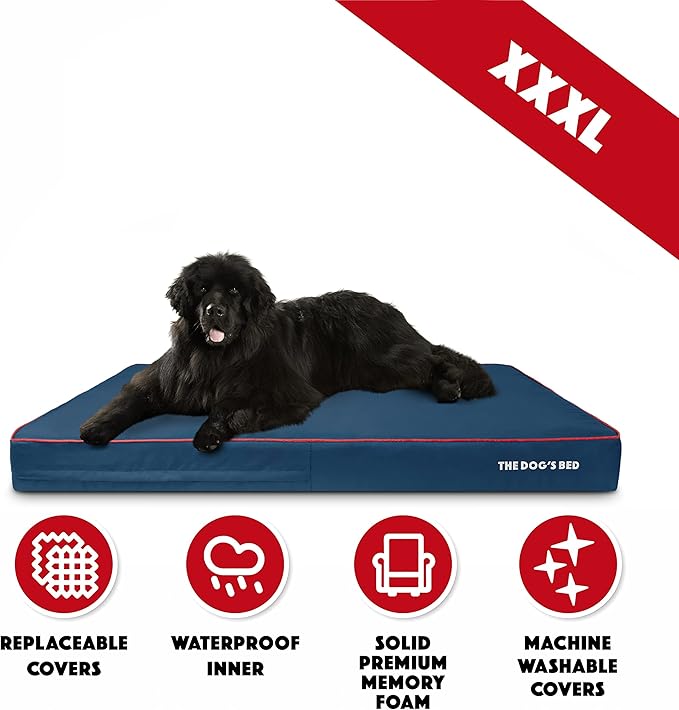 The Dog’s Bed Orthopedic Memory Foam Dog Bed, XXXL Blue/Red, Pain Relief for Arthritis, Hip & Elbow Dysplasia, Post Surgery, Lameness, Supportive, Calming, Waterproof Washable Cover