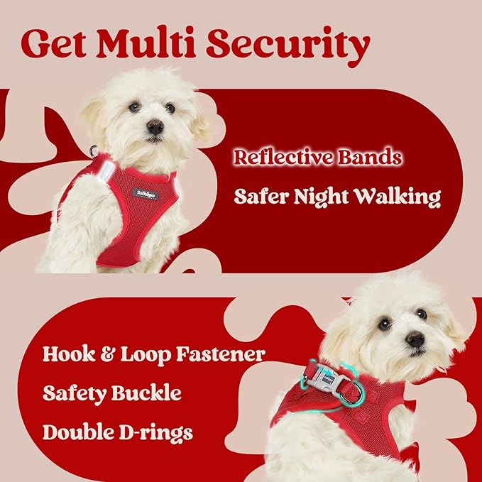 rabbitgoo Small Dog Harness, Step-in Soft Mesh Puppy Vest with Safety Buckle, Breathable Reflective Pet Harness for Small Sized Dogs, Red XS
