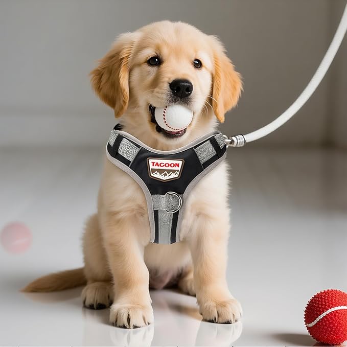 Adjustable Dog Vest Harness, No Pull Vest with Handle, Training for Walking, Running, Medium Size Fits Neck 18-21 Inch and Chest 20-26 Inch, Black, M
