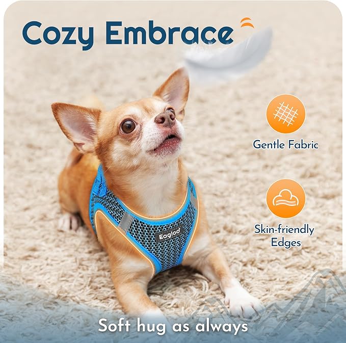 Eagloo Small Dog Harness and Leash Set, Step in Puppy Vest with Breathable Soft Mesh, Walking Reflective Pet Harness for Small Dogs, Blue, XS