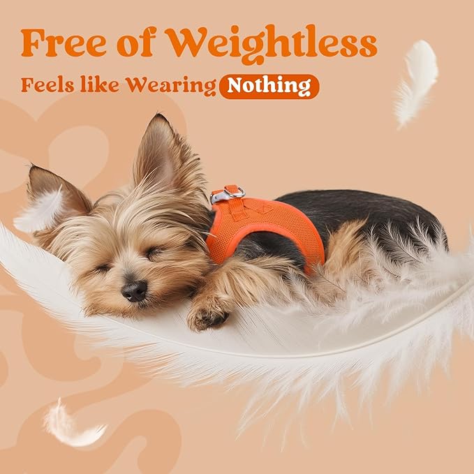 rabbitgoo Small Dog Harness, Step-in Soft Mesh Puppy Vest with Safety Buckle, Breathable Reflective Pet Harness for Small Medium Dogs, Orange L