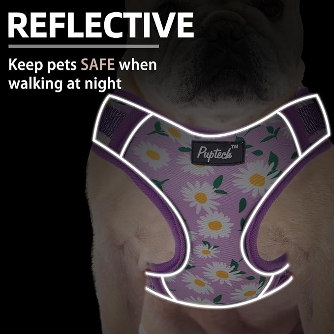 PUPTECK Small Dog Harness and Leash Set, No Pull Adjustable Puppy Cat Harness, Reflective Soft Mesh Pet Vest Small Sized