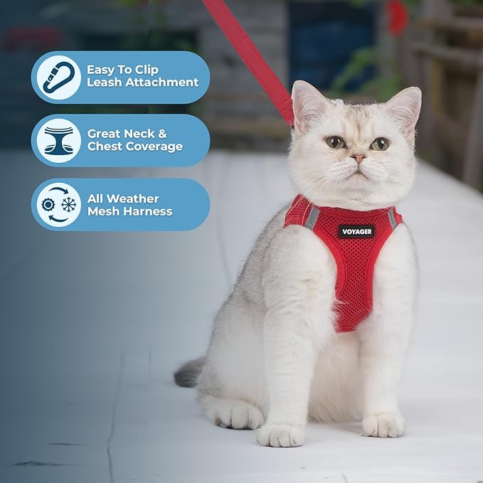 Voyager Step-in Pet Harness - All Weather Mesh, Adjustable Step in Harness for Cats and Dogs by Best Pet Supplies - 307S Red, S