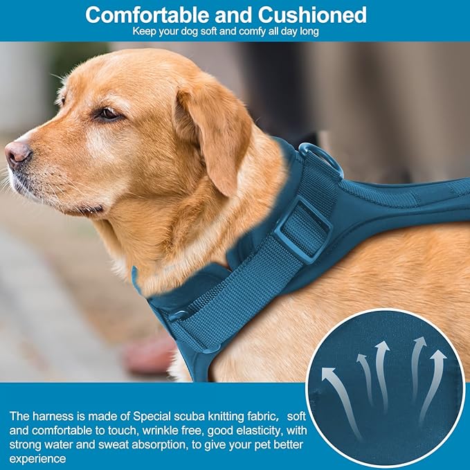 No Pull Lightweight Dog Harness: Adjustable Durable Breathable Mesh Pet Vest Harness with Soft & Comfortable Cushion, for Small Medium Large Dogs (L, Navy)