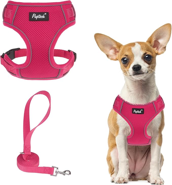 PUPTECK Small Dog Harness and Leash Set, No Pull Adjustable Puppy Cat Harness, Reflective Soft Mesh Pet Vest Small Sized
