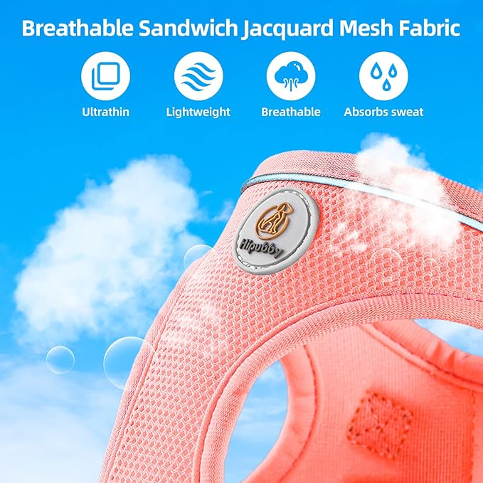 Dog Harness and Leash Set, No Pull Soft Mesh Puppy Harness for Small Medium Dogs, Cats - Step in Reflective Breathable Lightweight Vest Harness for Walking, Training - Pink, M