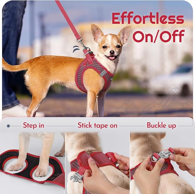 Eagloo Small Dog Harness and Leash Set, Step in Puppy Vest with Breathable Soft Mesh, Walking Reflective Pet Harness for Medium Small Dogs, Red, M