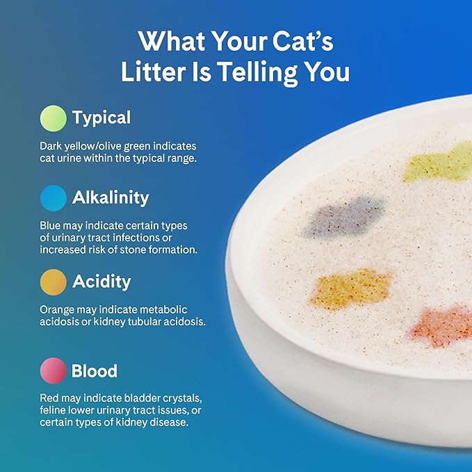 PrettyLitter Health Monitoring Cat Litter (Unscented, Non Clumping) | Lightweight & Low Tracking, Color Changing Silica Gel Crystals, Advanced Odor Control — 6 Lbs, Pack of 1 (One Month Supply)