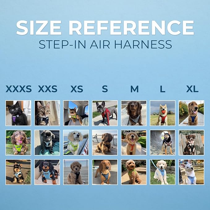 Voyager Step-in Pet Harness - All Weather Mesh, Adjustable Step in Harness for Cats and Dogs by Best Pet Supplies - 307S Turquoise, M