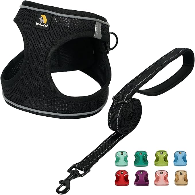 BELLA & PAL Step in Vest Harness for Small and Medium Dogs, No Pull Small Dog Harness with Leash Set, Comfortable Air Mesh Dog Vest Harness with Reflective Strip (Deep Black, XXS)
