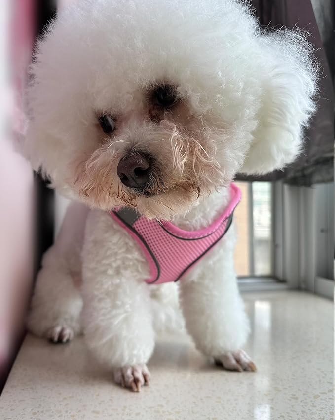 Solmoony No Pull Dog Harness - Step in Mesh Harness for Small & Medium Dogs, Pink (M)