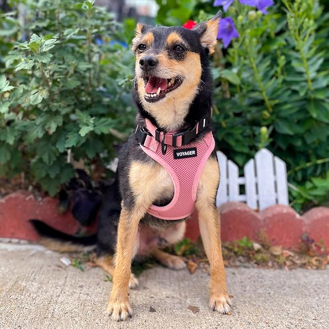 Voyager Step-in Pet Harness - All Weather Mesh, Adjustable Step in Harness for Cats and Dogs by Best Pet Supplies - Pink, XL