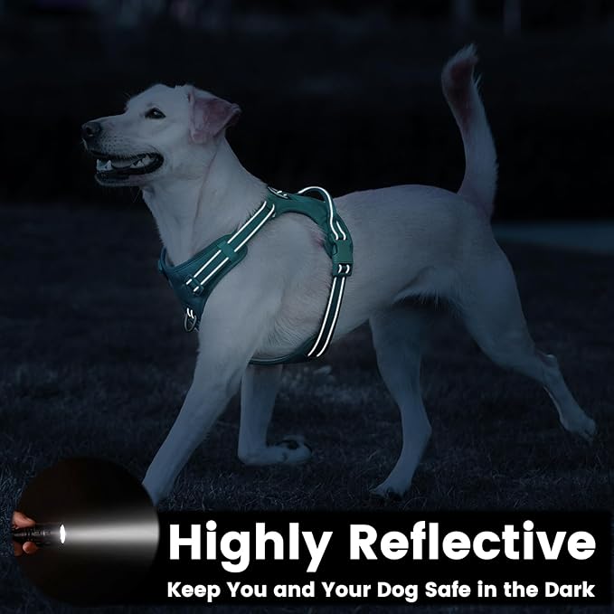 No Pull Dog Harness, Reflective Puppy Vest for Small Medium Large Sized Dog(MARRS Green,XL)