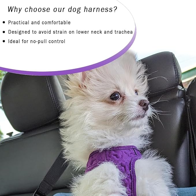 Comfort Fit No Pull Dog Harness – Adjustable Step-in Vest for Small, Medium & Large Dogs, Soft Padded with Leash Clips, Reflective Straps & Handle