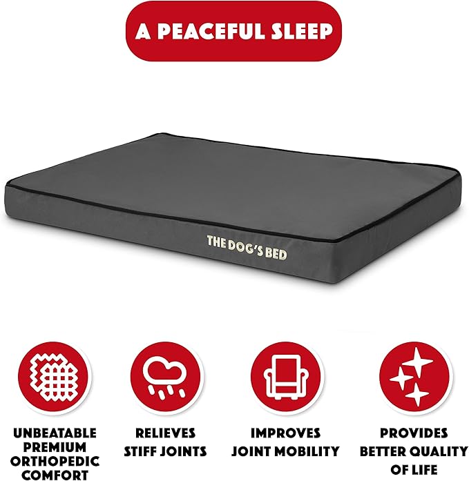 The Dog’s Bed Orthopedic Memory Foam Dog Bed, Medium Grey & Black 34x22, Waterproof, Supportive Dog Bed with Replaceable Covers, Veterinary Approved