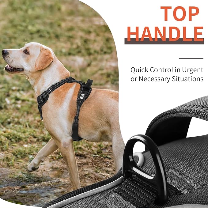 Dog Harness, No-Pull Pet Breathable Harness, Adjustable Soft Padded Dog Vest with 2 Leash Clips, Reflective No-Choke Pet, Easy Control Handle for Large Dogs, Black, L